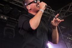 06_Torul_03