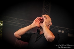 Wesselsky