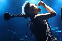 08_Fuchsteufelswild_08