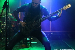01_Harpyie_06