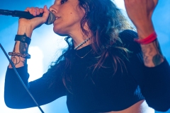 Velvet Vega