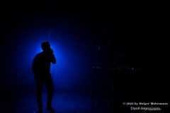 SYNAPSCAPE