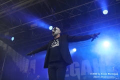 Megaherz