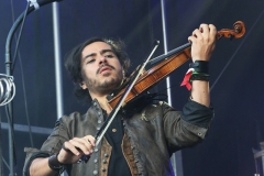 D`Artagnan