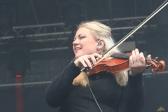 Rauhbein