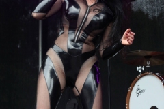 Velvet Rush