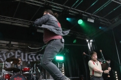 Haggefugg