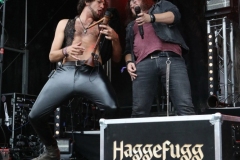 Haggefugg