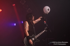 Combichrist