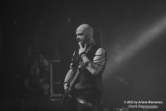 Combichrist