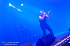 NITZER EBB