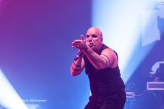 NITZER EBB