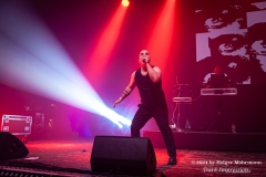 NITZER EBB
