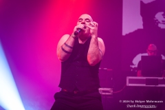 NITZER EBB