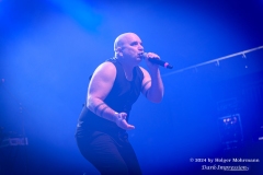 NITZER EBB
