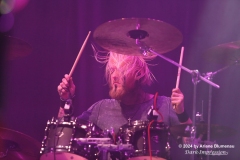Harpyie