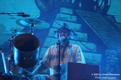 Mr. Hurley und die Pulveraffen