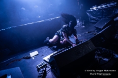 STROBO.LOLITA