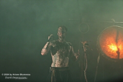Heilung