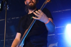 The Toshers