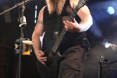 Rauhbein