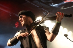Vogelfrey