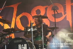 Vogelfrey