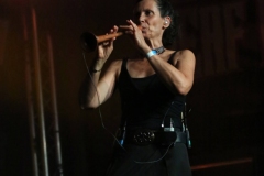 Schandmaul
