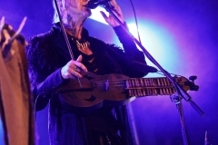 Faun