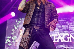 D`Artagnan