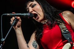 Venin Carmin