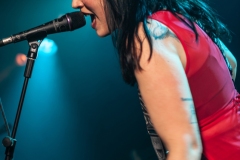 Venin Carmin
