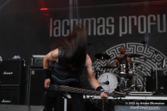 Metal Frenzy Festival 2023