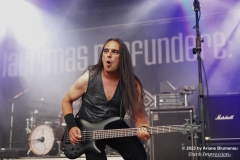 Metal Frenzy Festival 2023