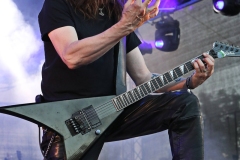 Unleashed