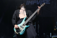 Impvlse