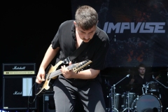 Impvlse