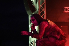 Primordial