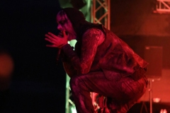 Primordial