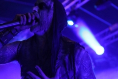 Primordial