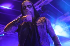 Primordial