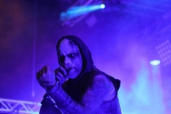 Primordial