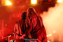 Primordial