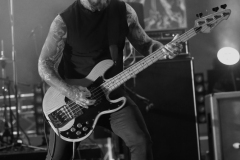 Primordial