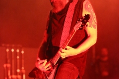 Primordial