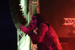 Primordial