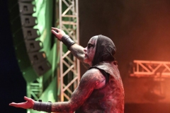 Primordial