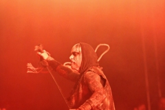 Primordial