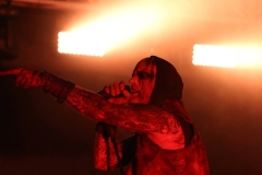Primordial