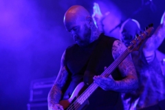 Primordial